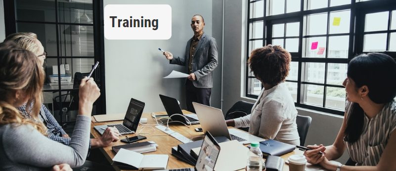 Employee Training and Assessment