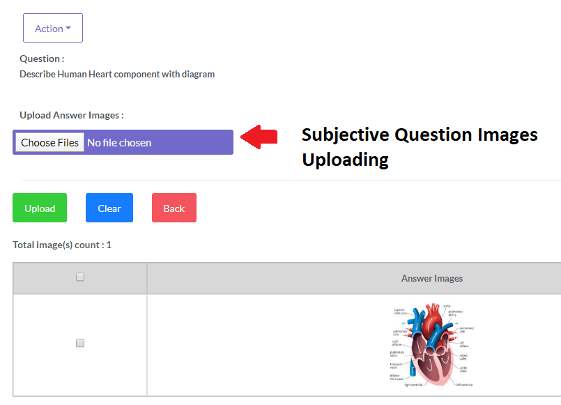 Option to add images during Online Subjective Exams